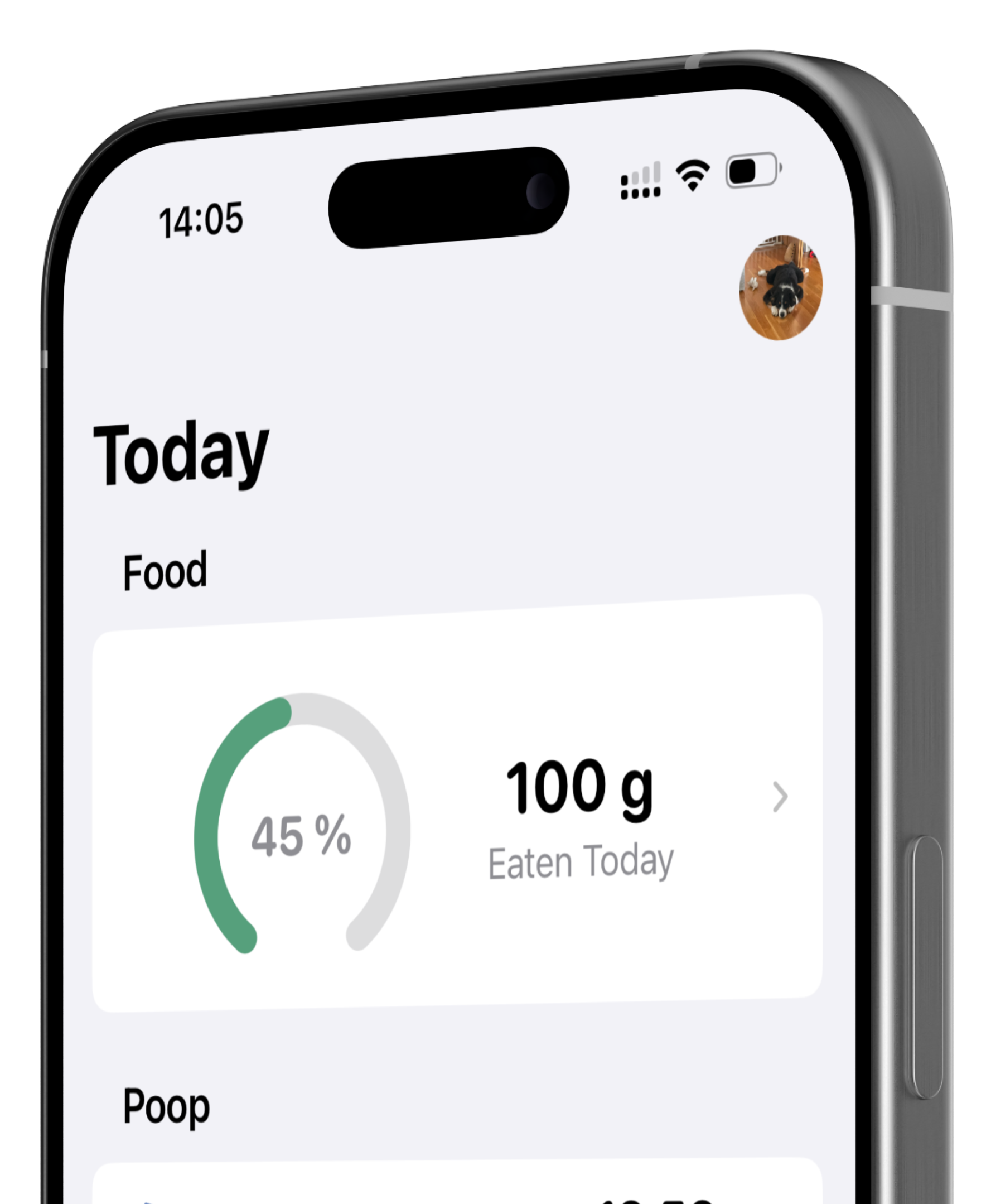 Dogtales App Screenshot